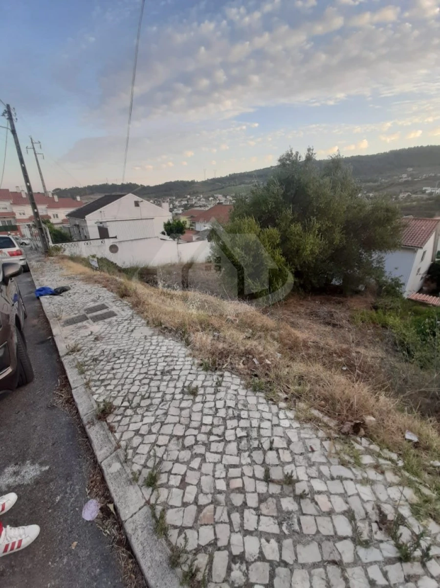 Terreno para Venda em Alhandra, São João dos Montes e Calhandriz Foto 10