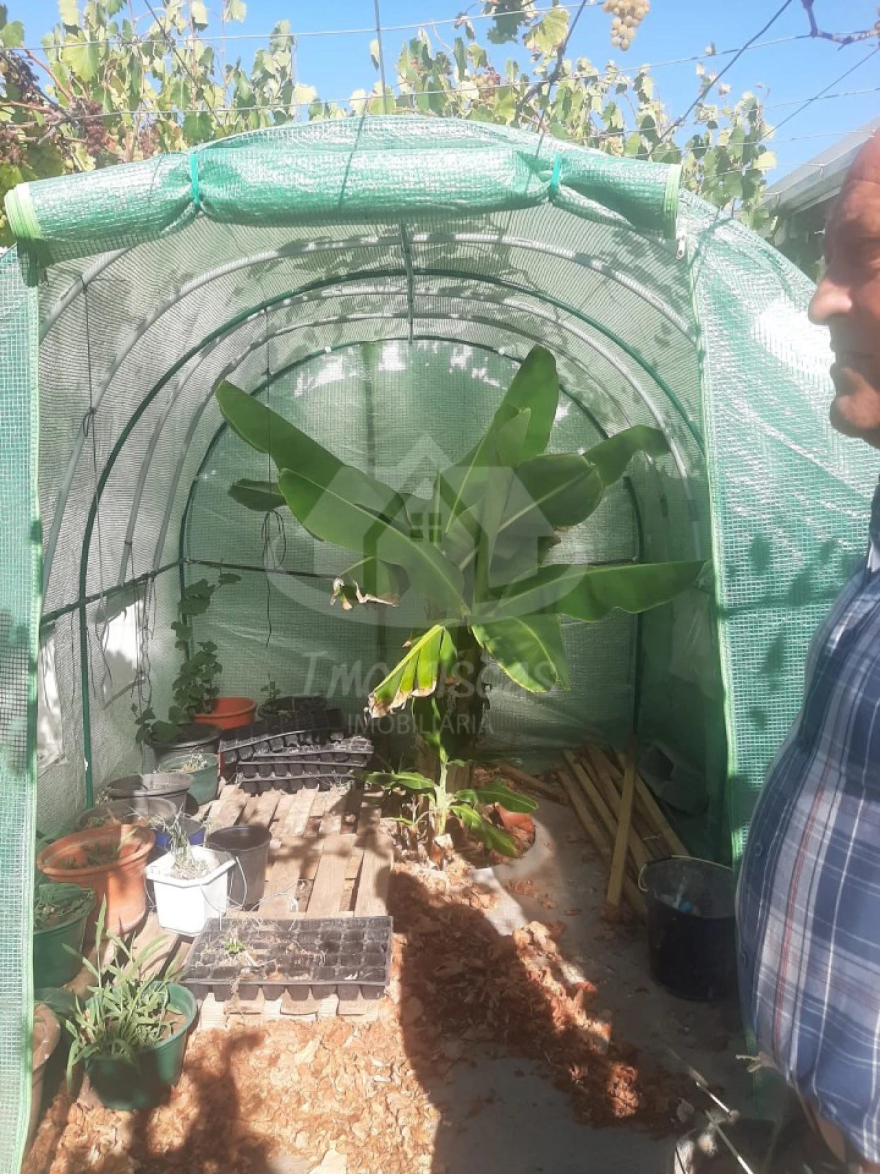 Terreno para Venda em Santo Antão e São Julião do Tojal Foto 16