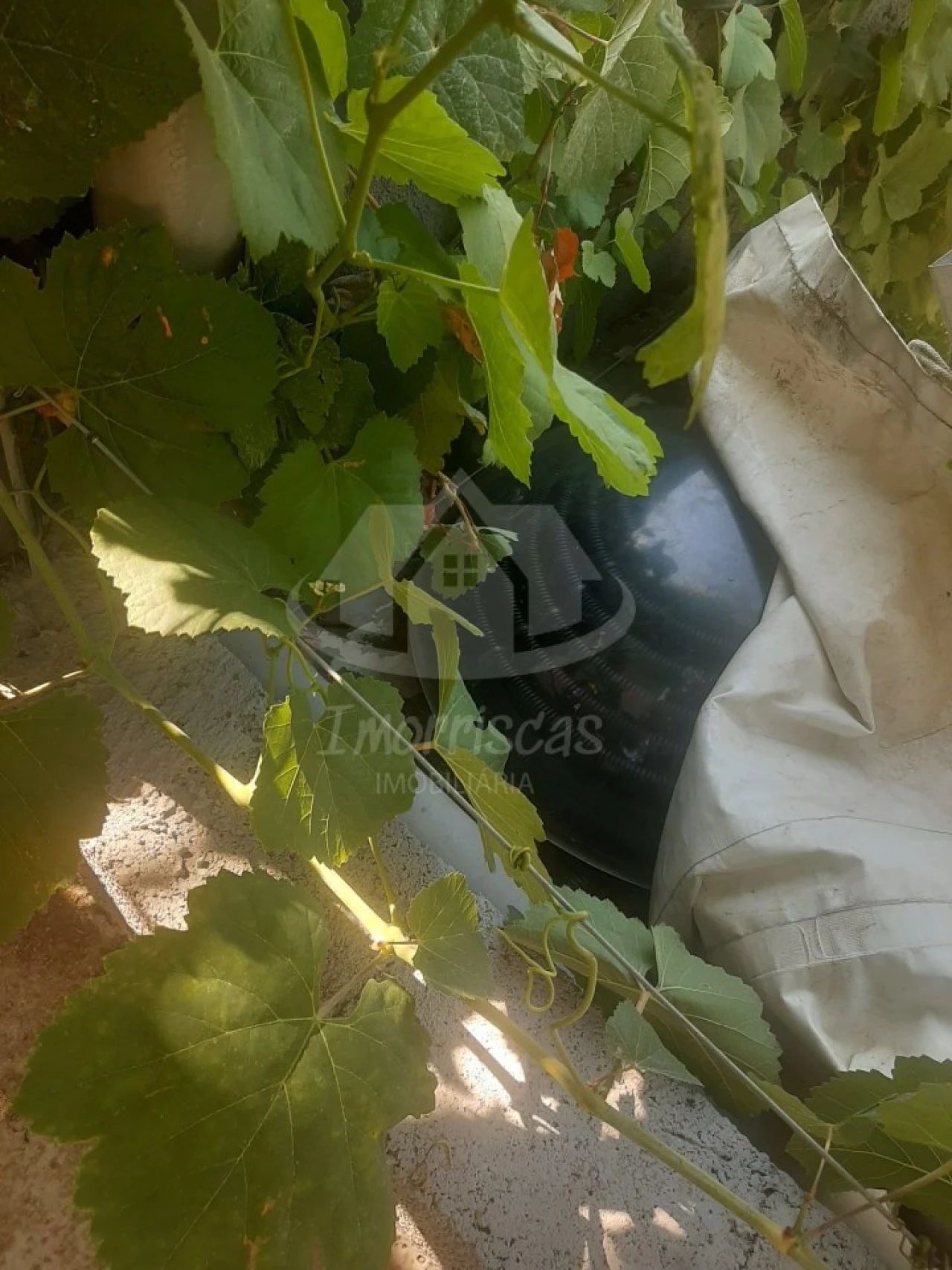 Terreno para Venda em Santo Antão e São Julião do Tojal Foto 46