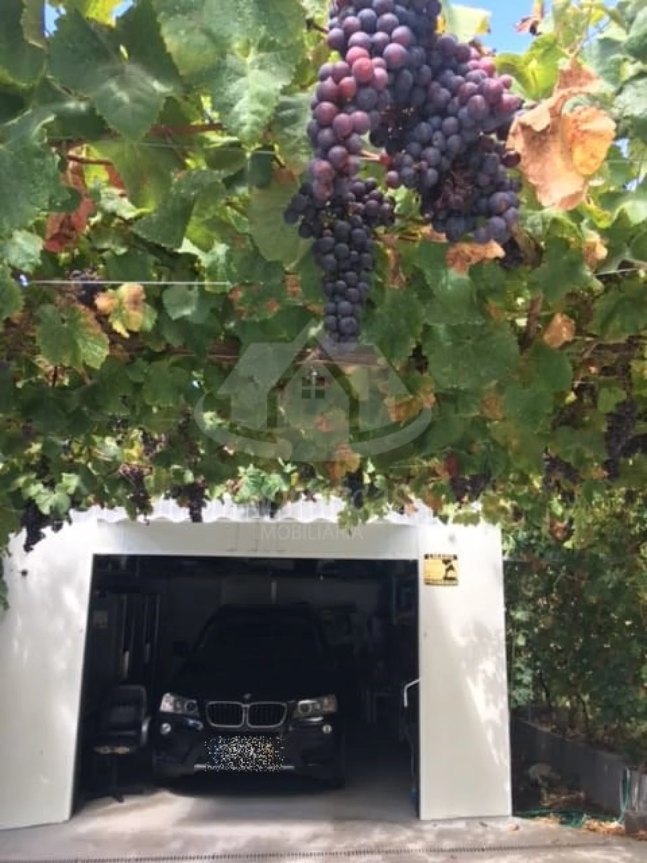 Terreno para Venda em Santo Antão e São Julião do Tojal Foto 37