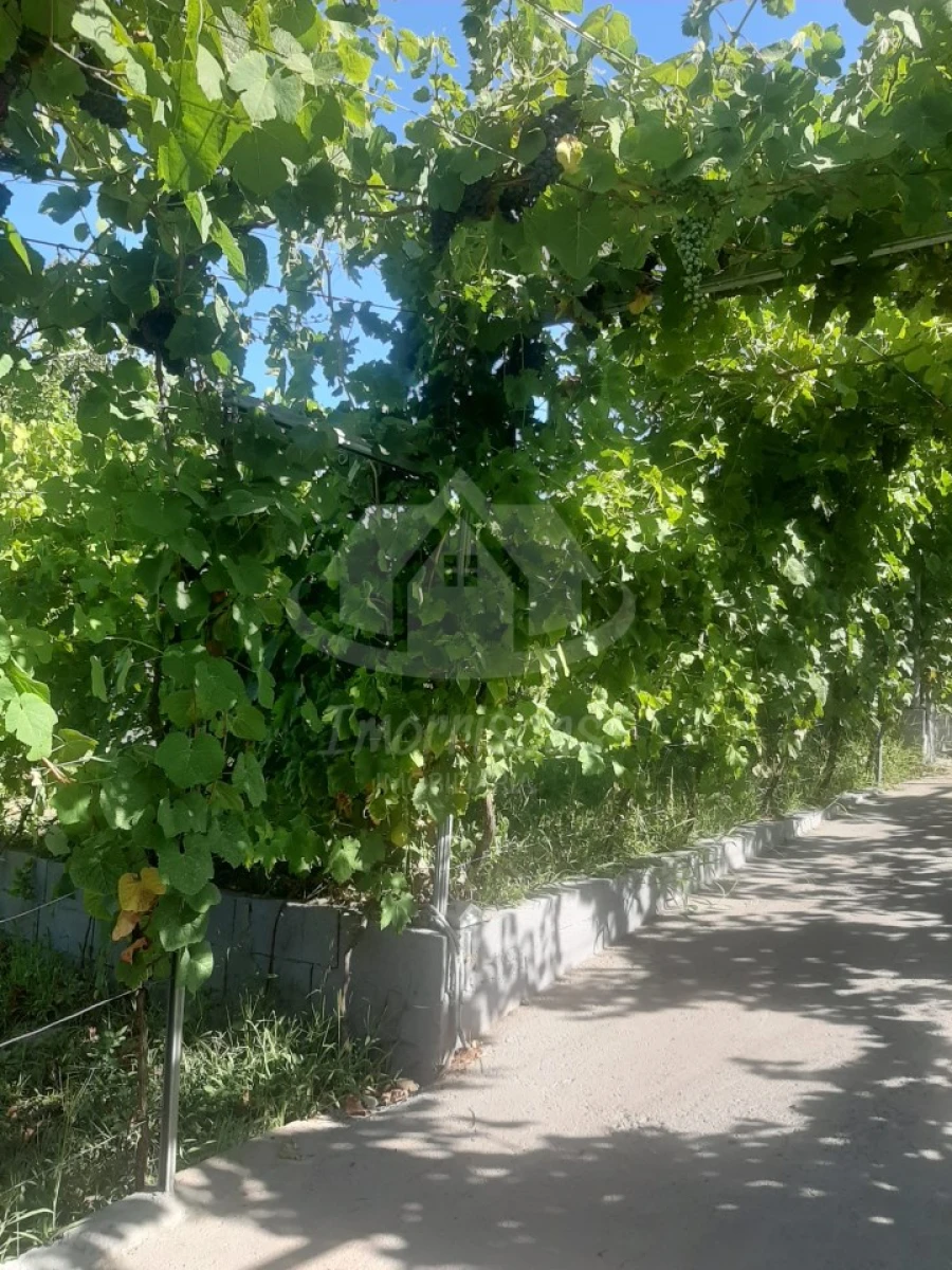 Terreno para Venda em Santo Antão e São Julião do Tojal Foto 4