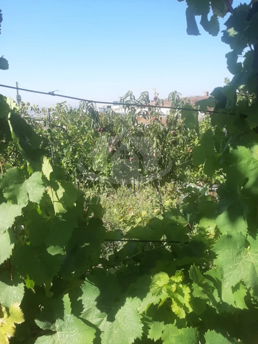 Terreno para Venda em Santo Antão e São Julião do Tojal Foto 5