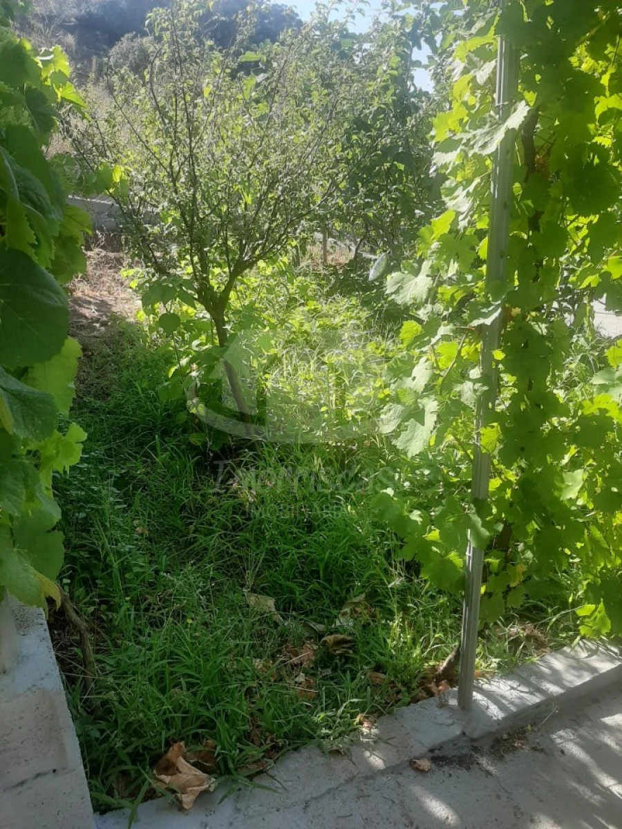Terreno para Venda em Santo Antão e São Julião do Tojal Foto 6