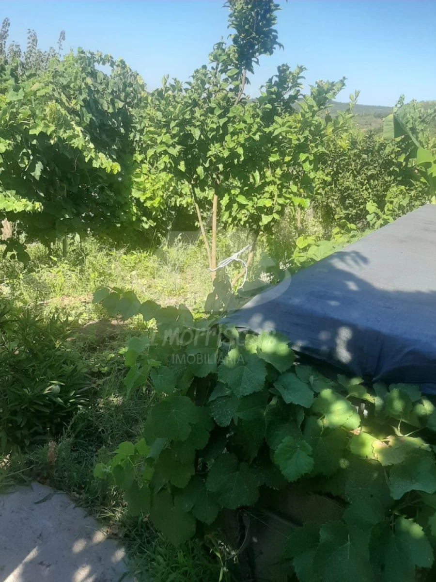 Terreno para Venda em Santo Antão e São Julião do Tojal Foto 8