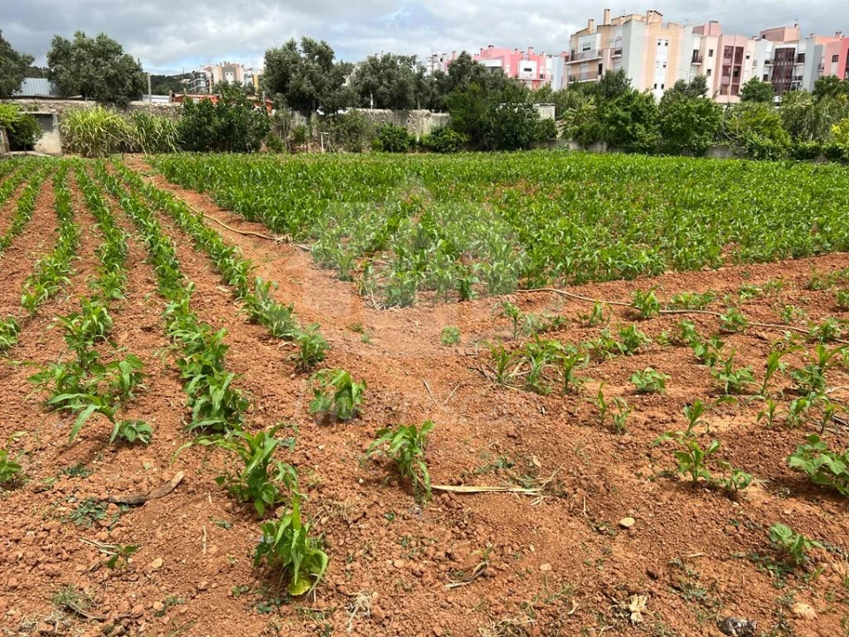 Terreno para Venda em Vialonga Foto 12