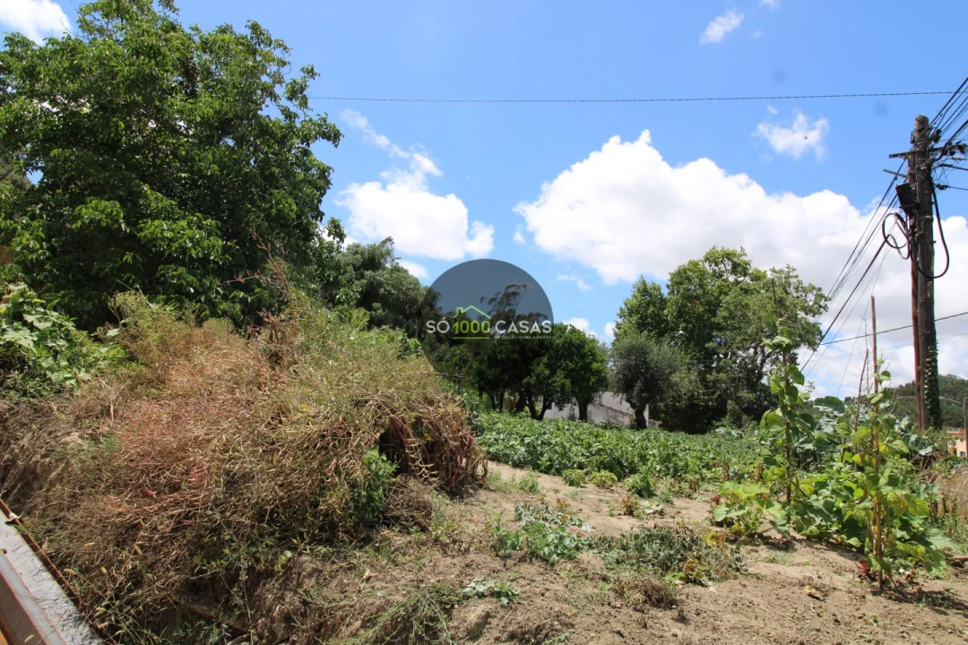 Terreno para Venda em Lousa Foto 10