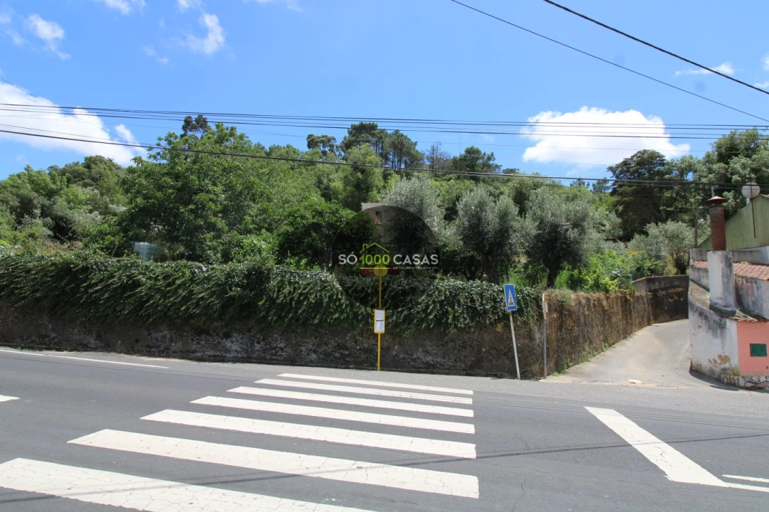 Terreno para Venda em Lousa Foto 12