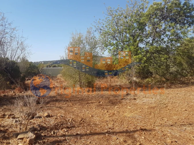 Terreno para Venda em Salir Foto 2