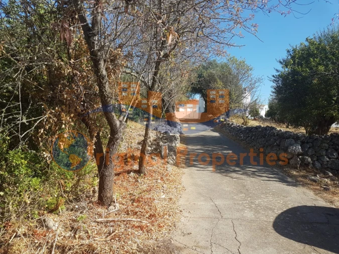 Terreno para Venda em Salir Foto 3