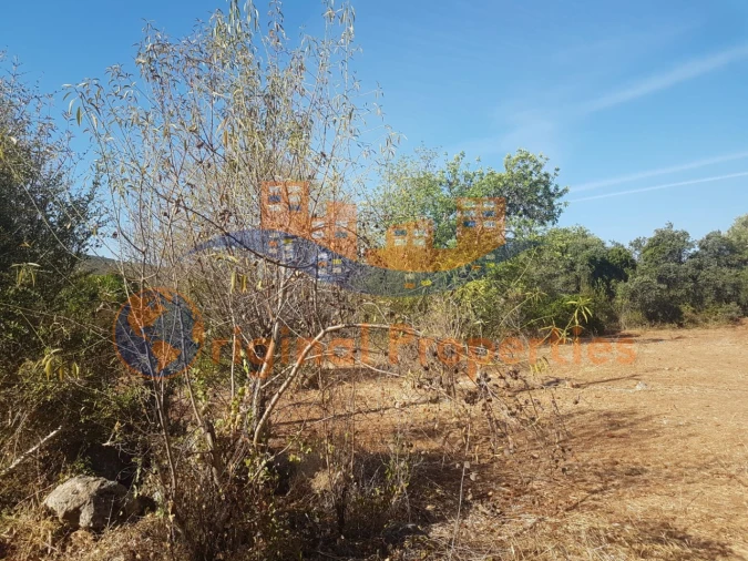 Terreno para Venda em Salir Foto 4
