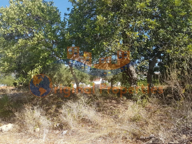 Terreno para Venda em Salir Foto 6