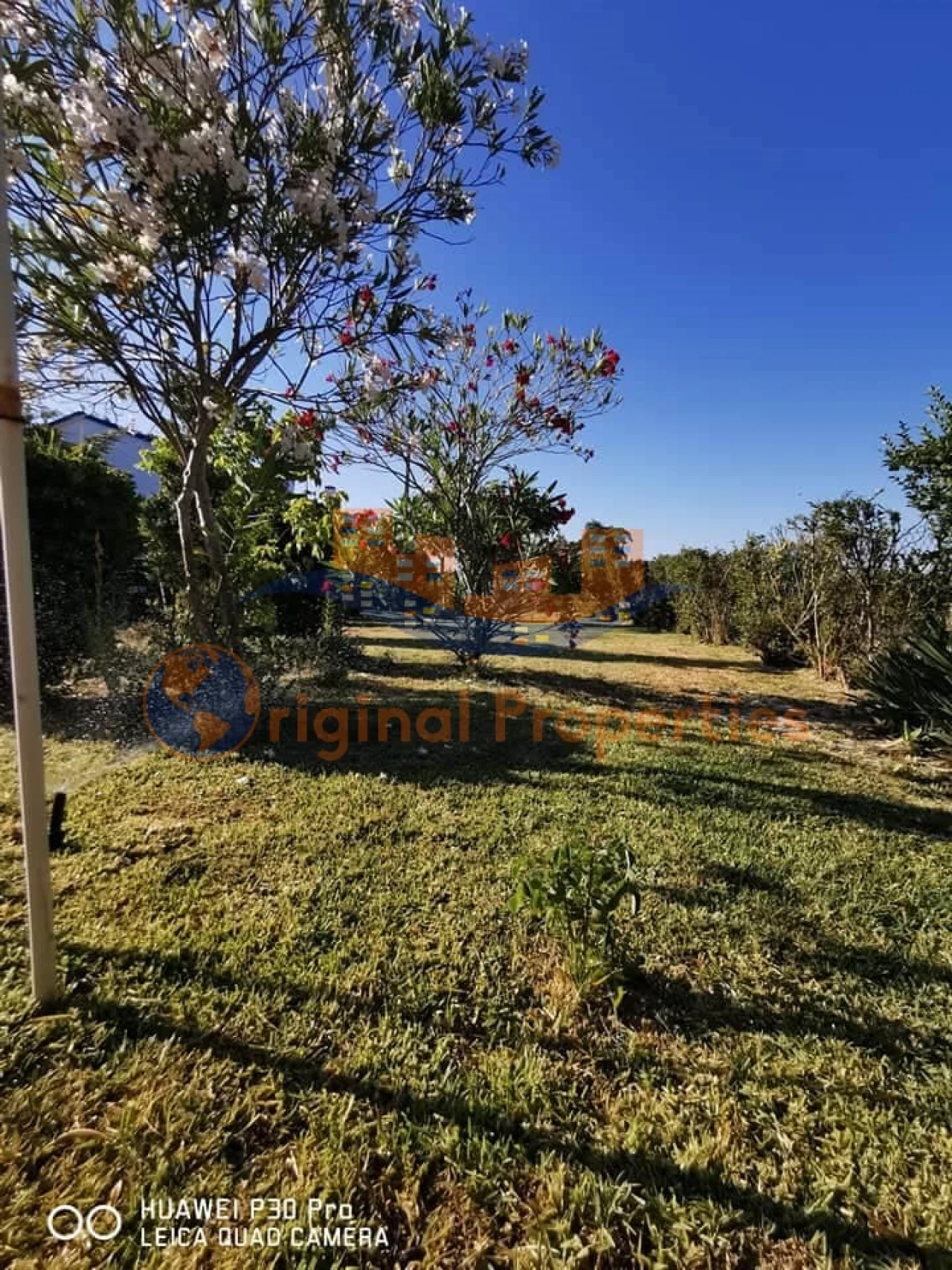 Quinta T8 para Venda em Melides Foto 4