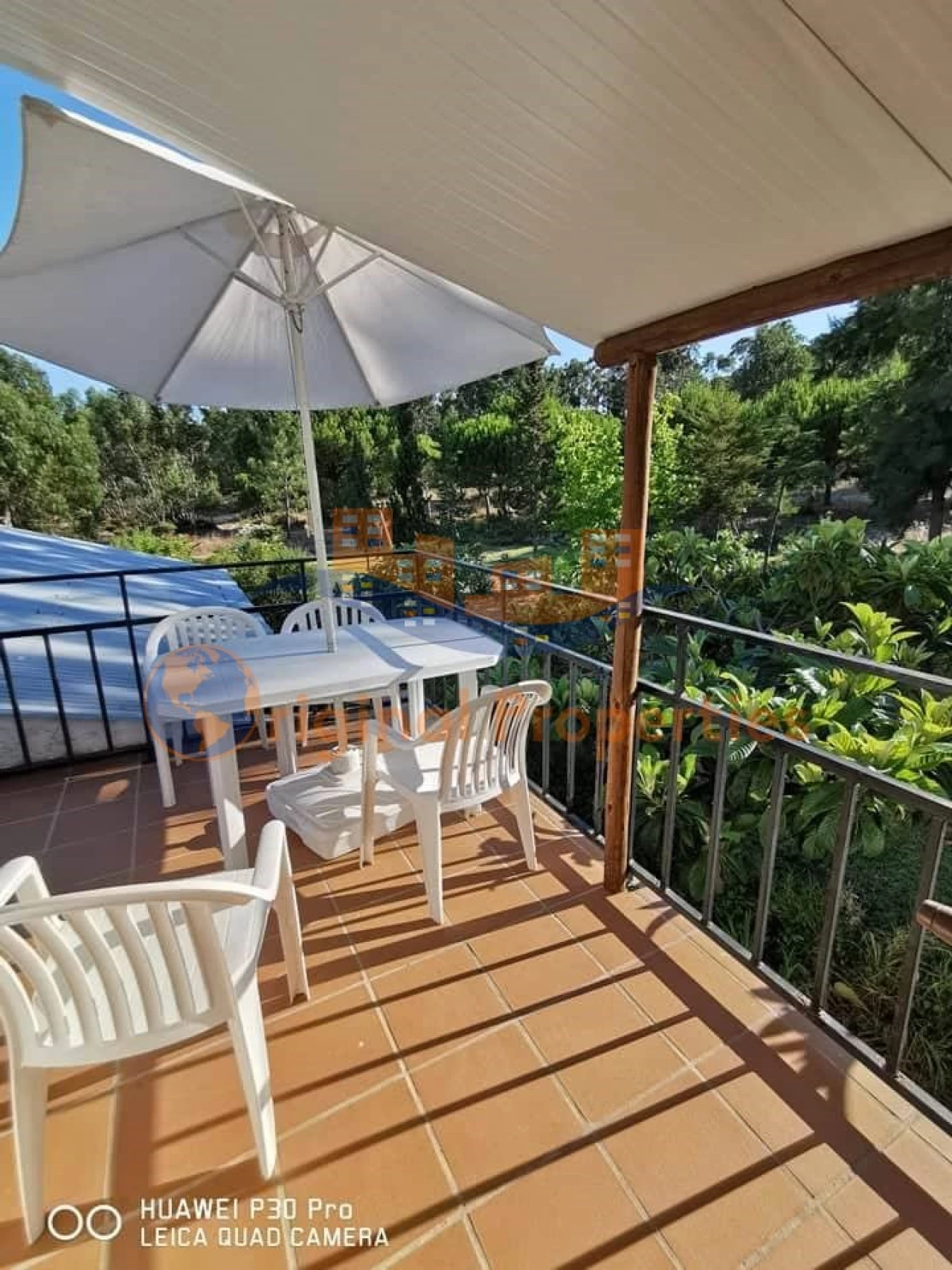 Quinta T8 para Venda em Melides Foto 13