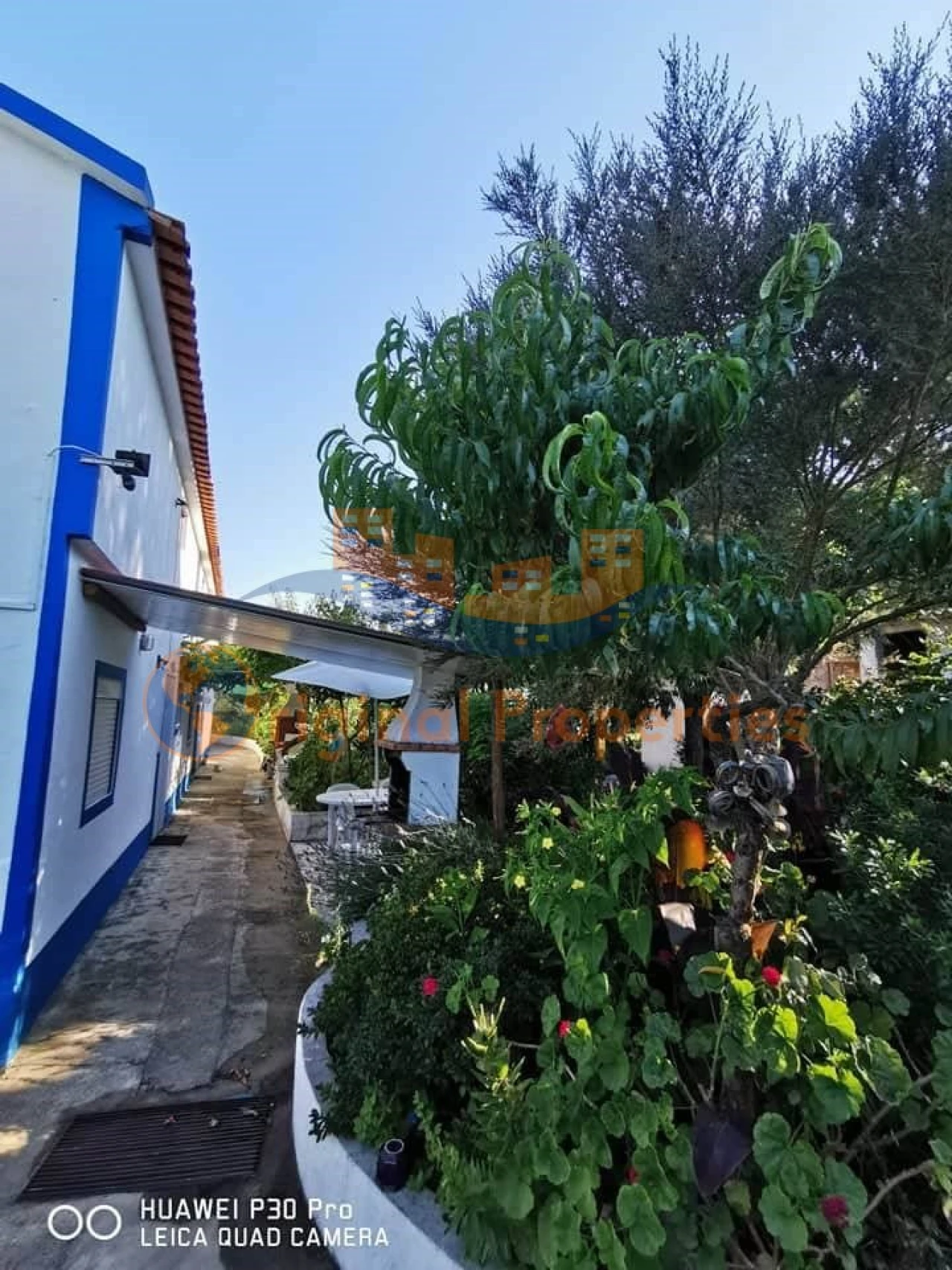 Quinta T8 para Venda em Melides Foto 17