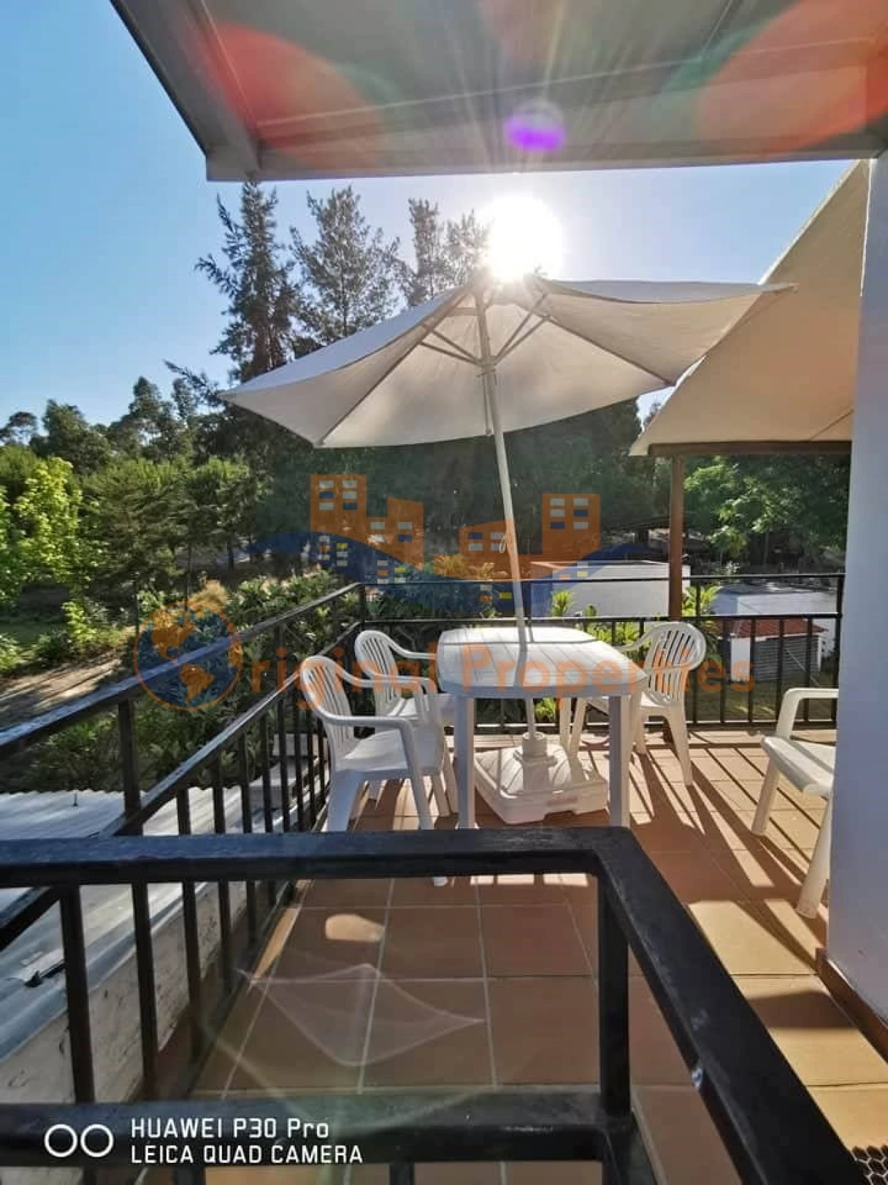 Quinta T8 para Venda em Melides Foto 25