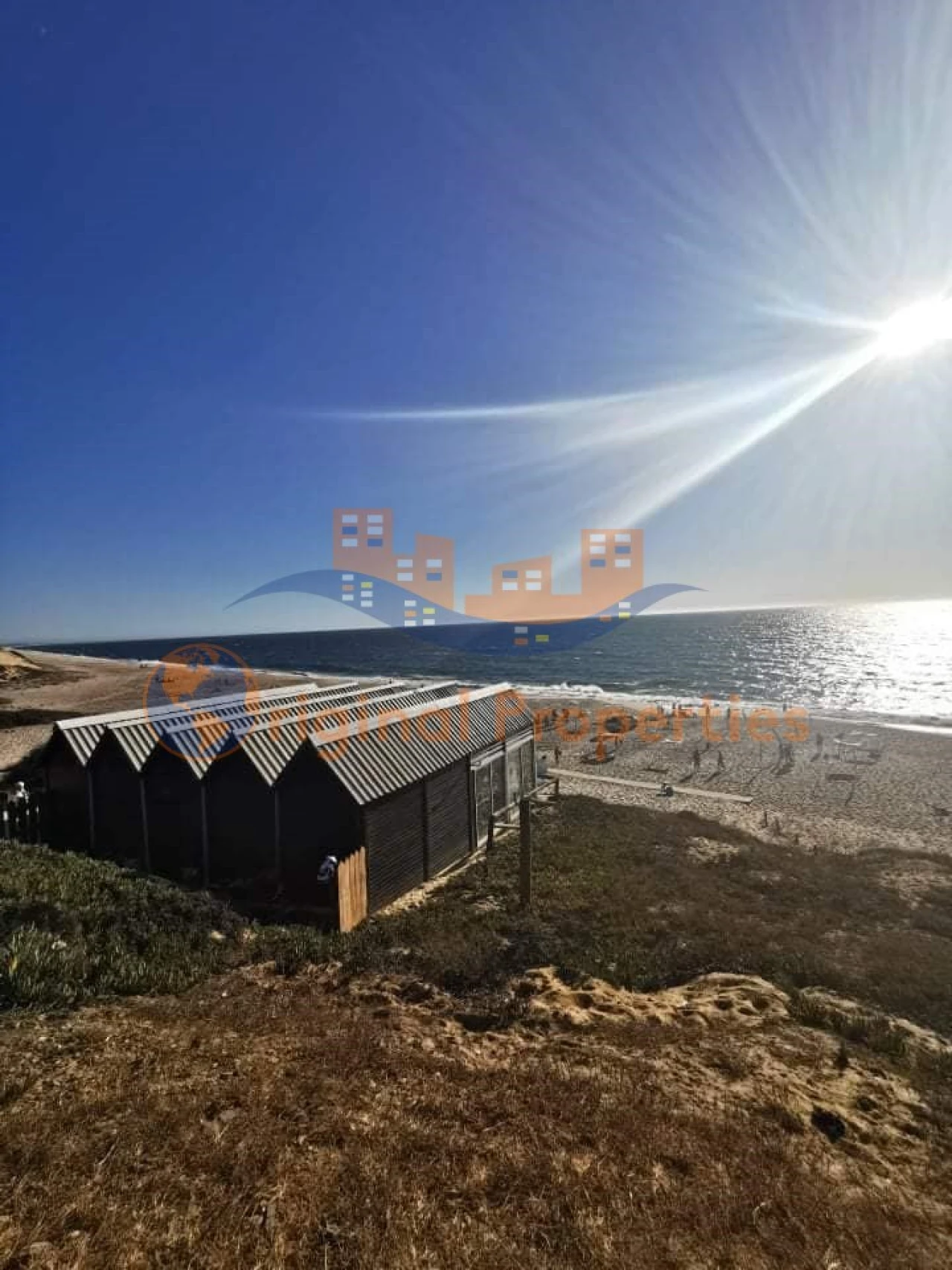 Quinta T8 para Venda em Melides Foto 28