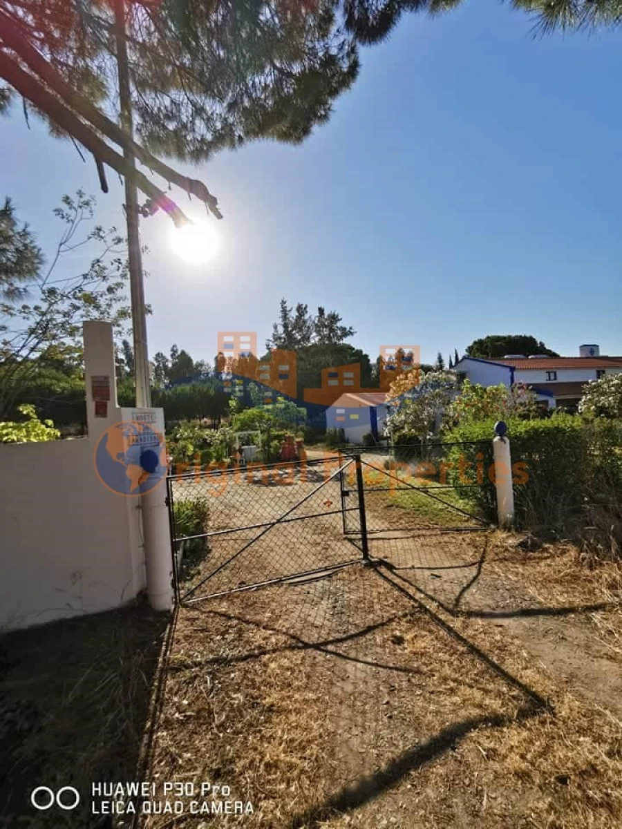 Quinta T8 para Venda em Melides Foto 2