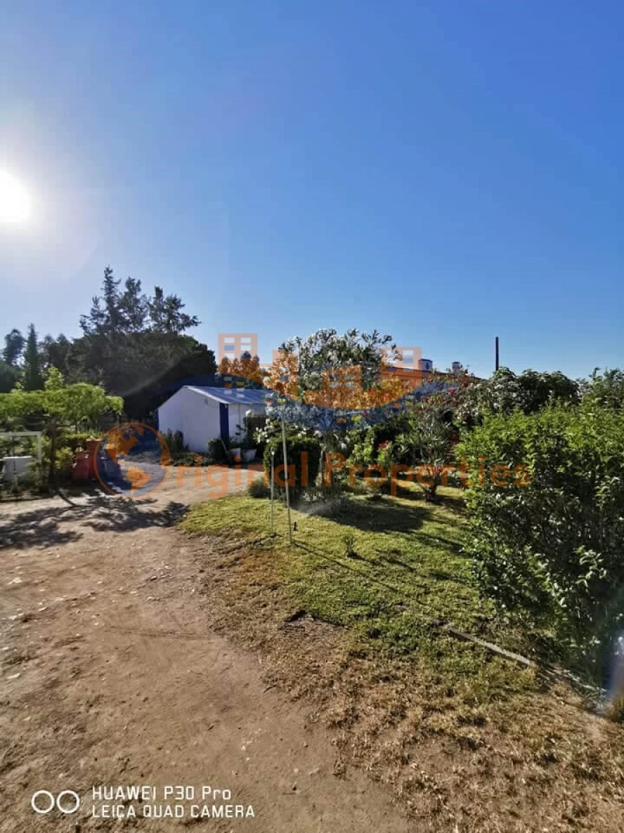 Quinta T8 para Venda em Melides Foto 3