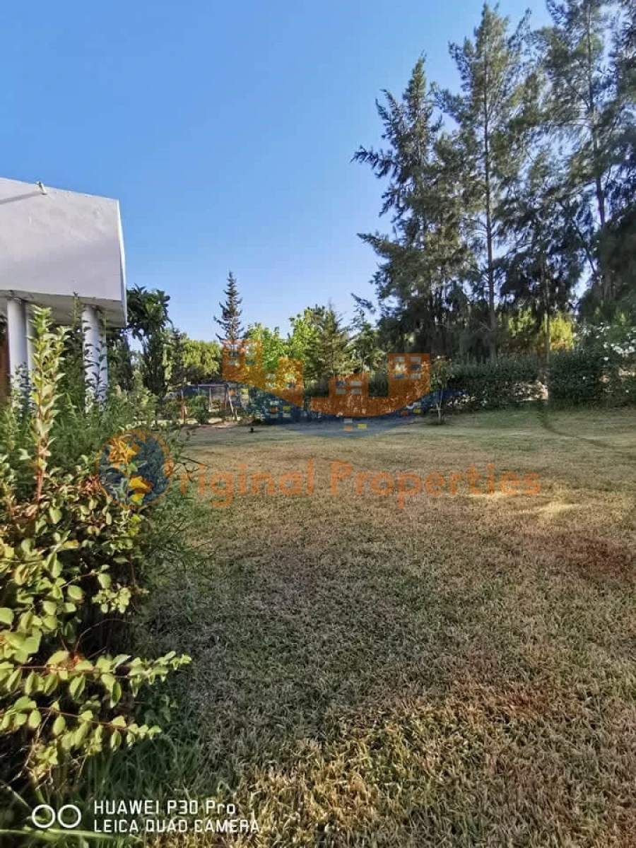 Quinta T8 para Venda em Melides Foto 5