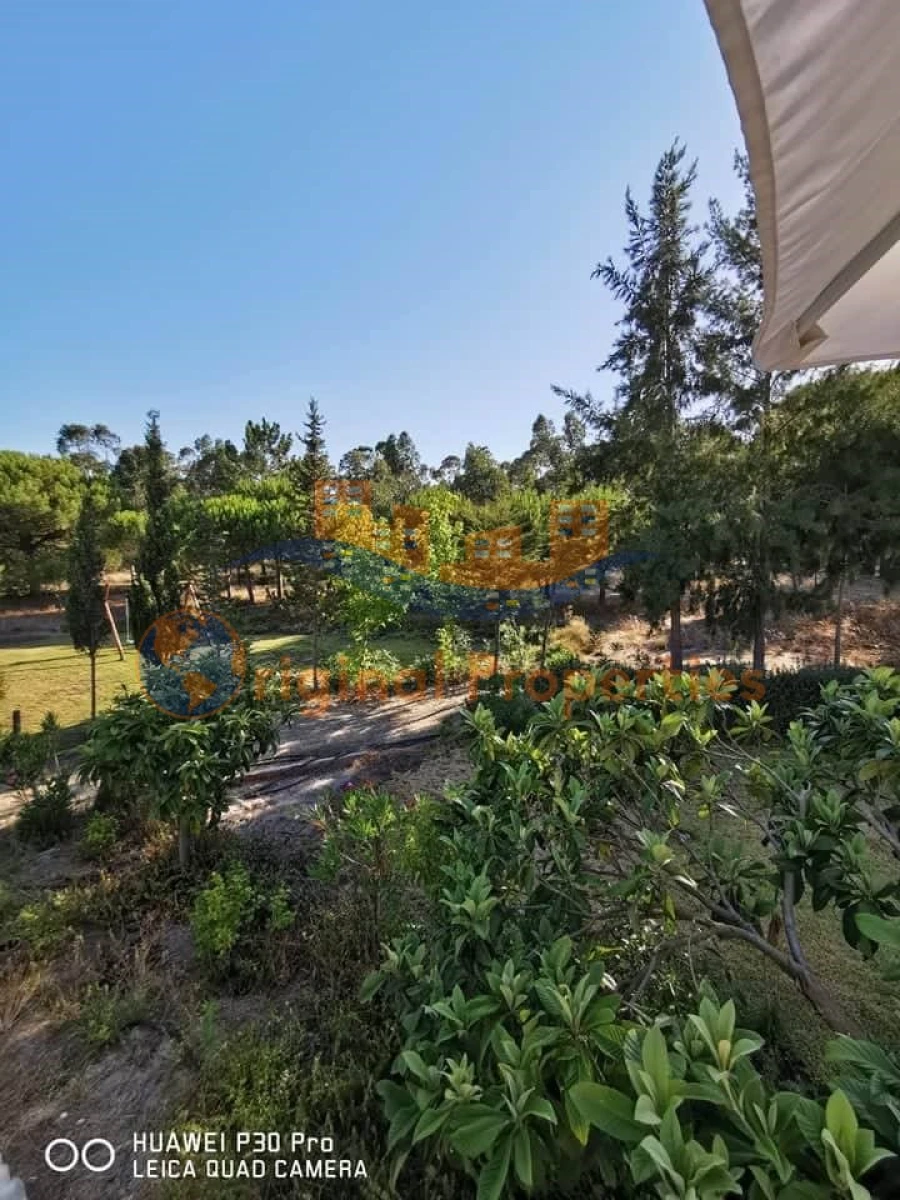 Quinta T8 para Venda em Melides Foto 12