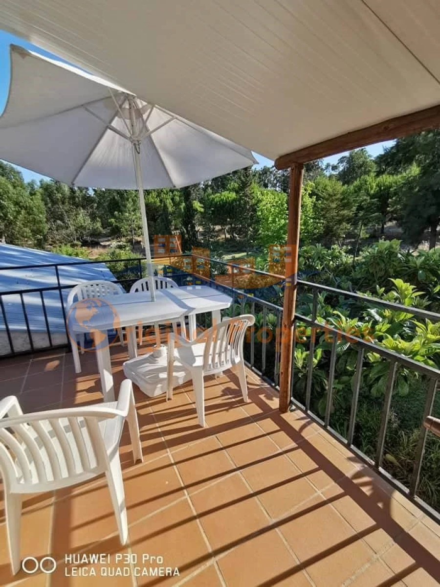 Quinta T8 para Venda em Melides Foto 13