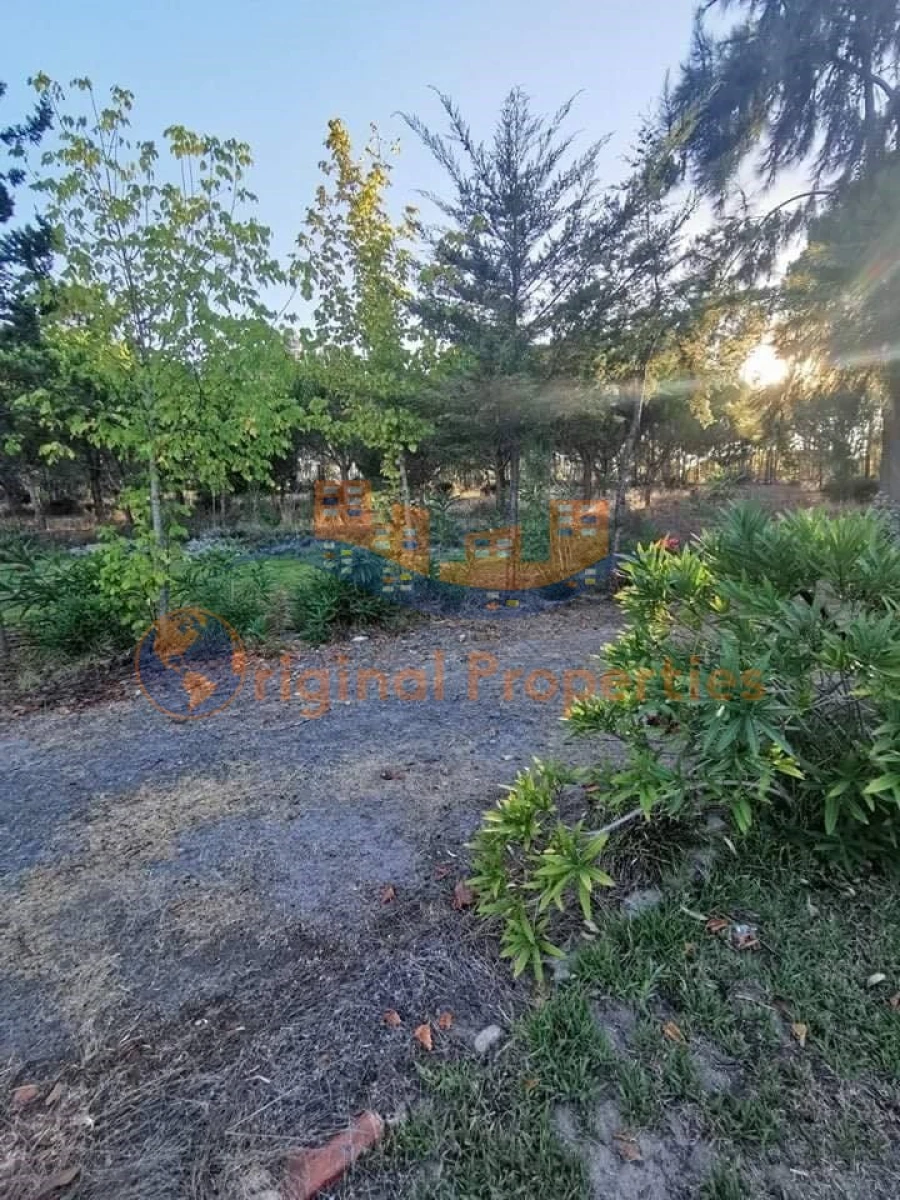 Quinta T8 para Venda em Melides Foto 14