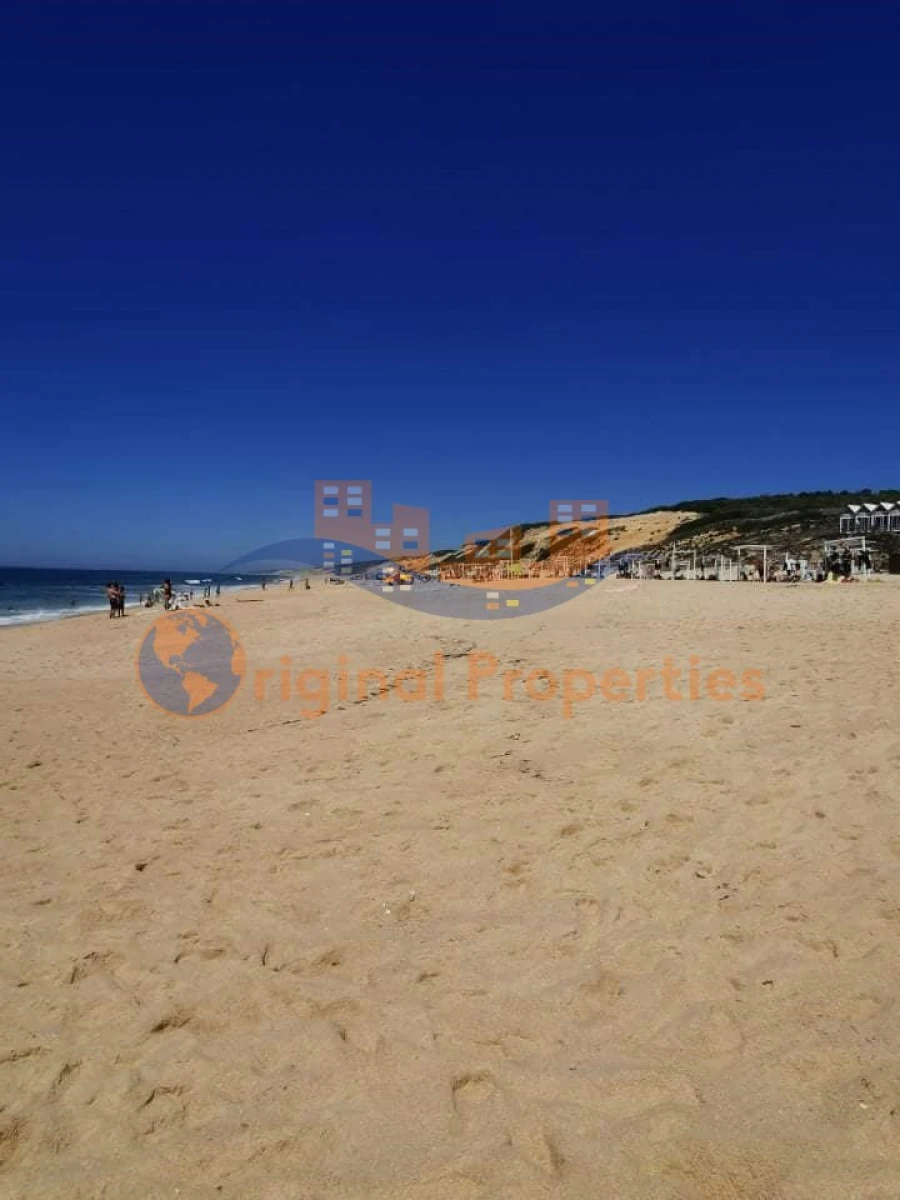 Quinta T8 para Venda em Melides Foto 29