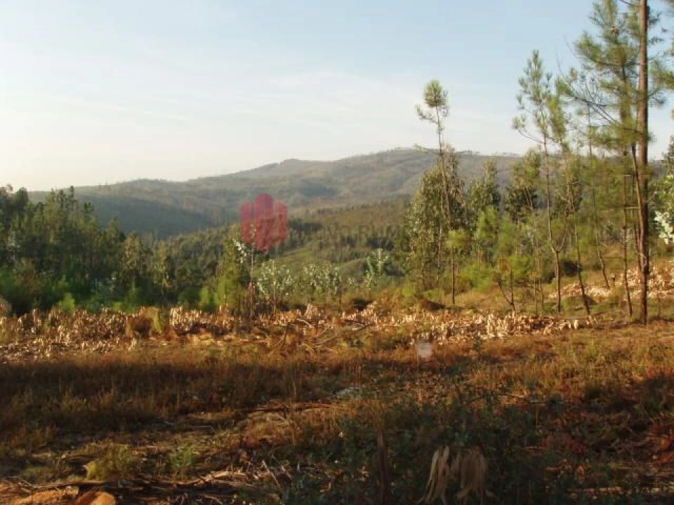 Terreno para Venda em Melres e Medas Foto 3