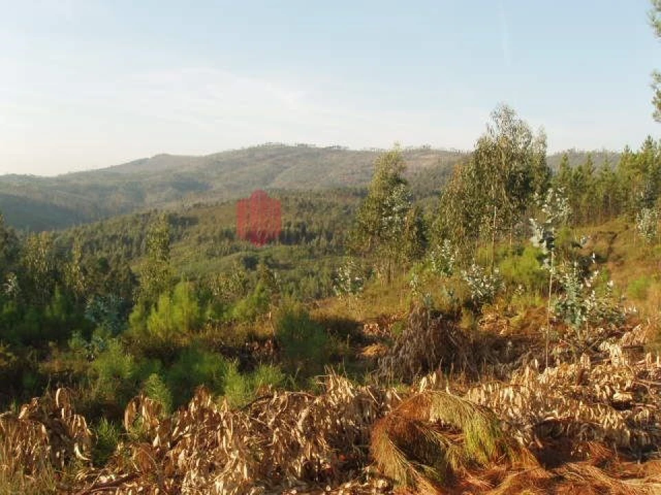 Terreno para Venda em Melres e Medas Foto 5