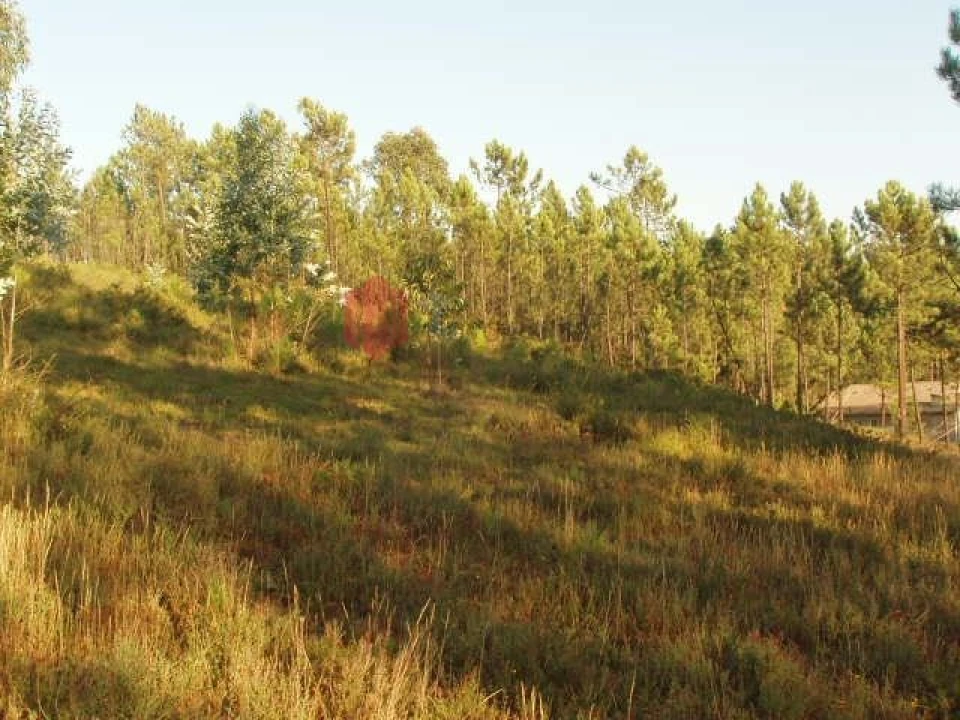 Terreno para Venda em Melres e Medas Foto 6