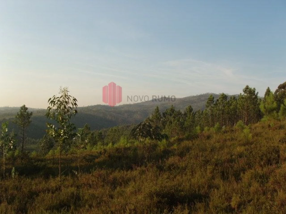 Terreno para Venda em Melres e Medas Foto 9