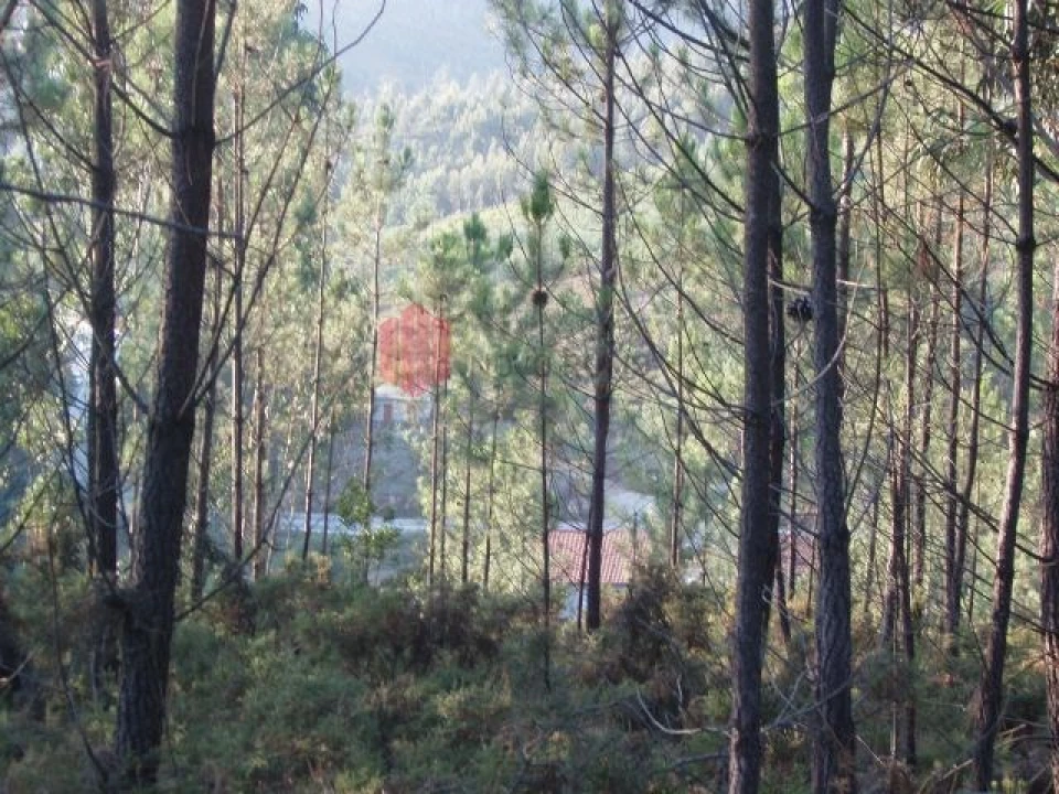 Terreno para Venda em Melres e Medas Foto 20