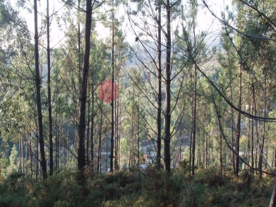 Terreno para Venda em Melres e Medas Foto 25