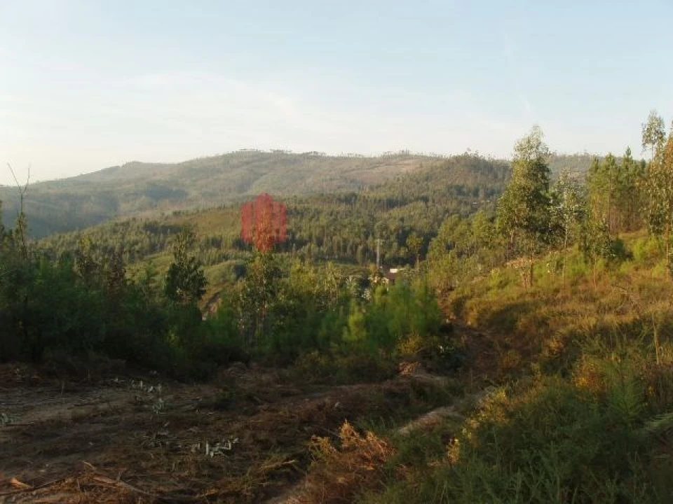 Terreno para Venda em Melres e Medas Foto 26