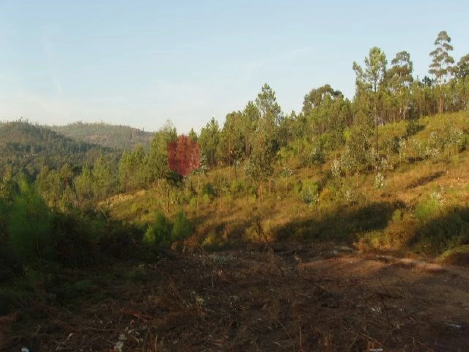 Terreno para Venda em Melres e Medas Foto 27