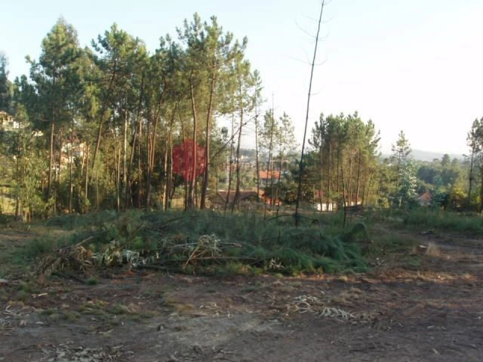 Terreno para Venda em Melres e Medas Foto 30