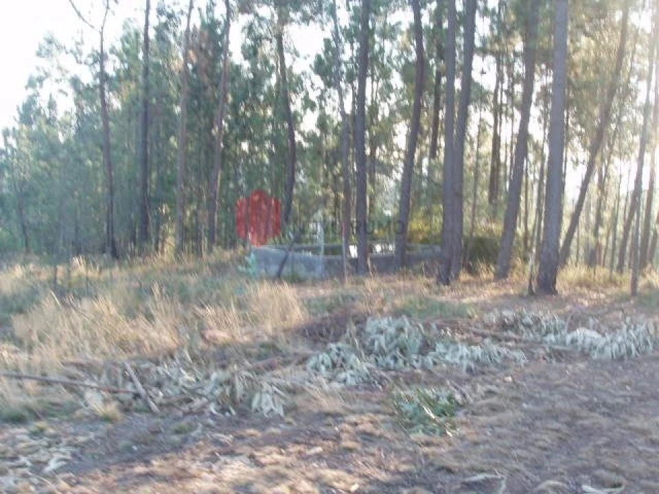Terreno para Venda em Melres e Medas Foto 31