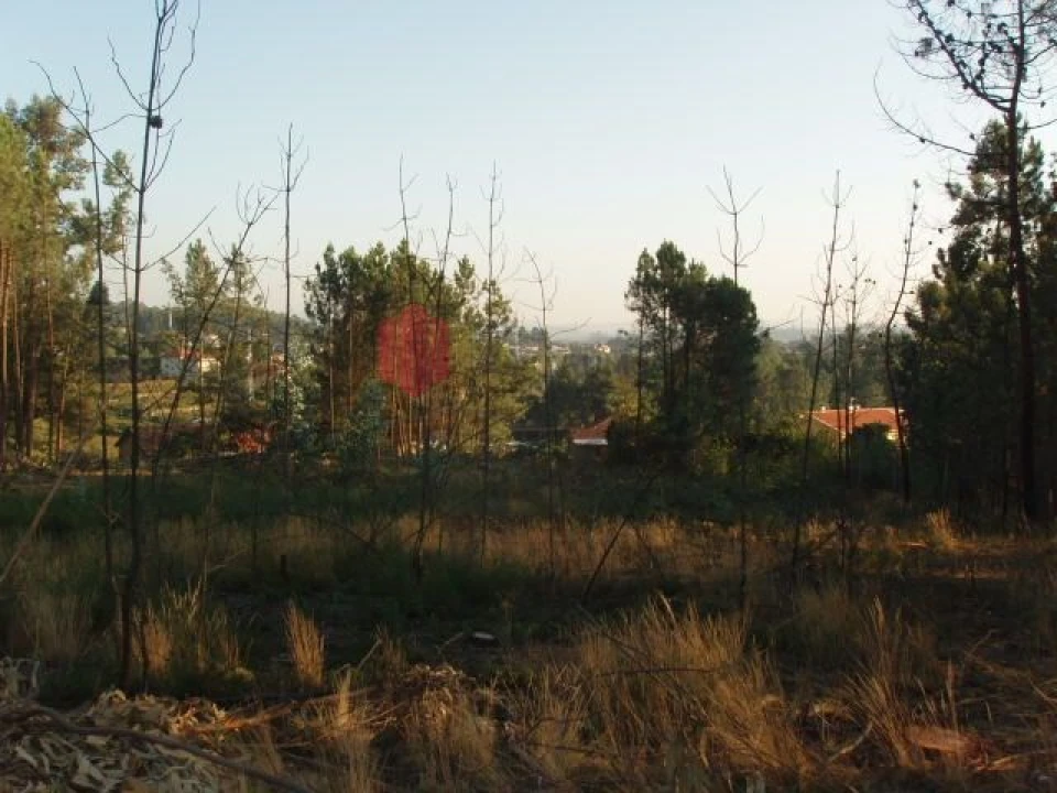 Terreno para Venda em Melres e Medas Foto 32