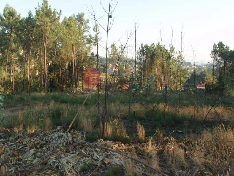 Terreno para Venda em Melres e Medas Foto 33