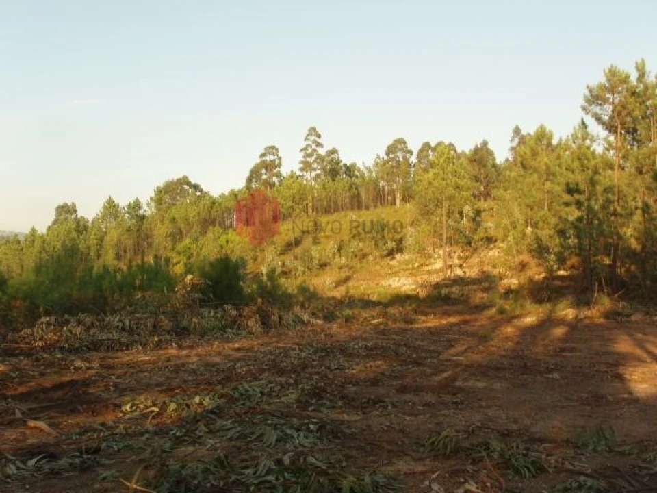 Terreno para Venda em Melres e Medas Foto 37