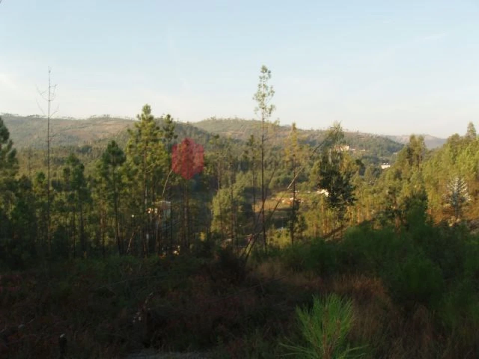 Terreno para Venda em Melres e Medas Foto 40