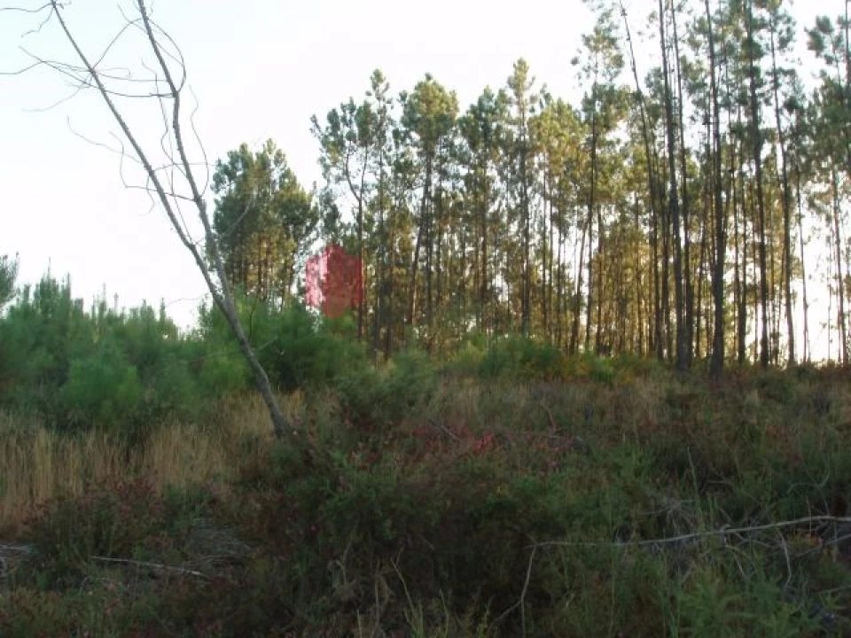 Terreno para Venda em Melres e Medas Foto 43