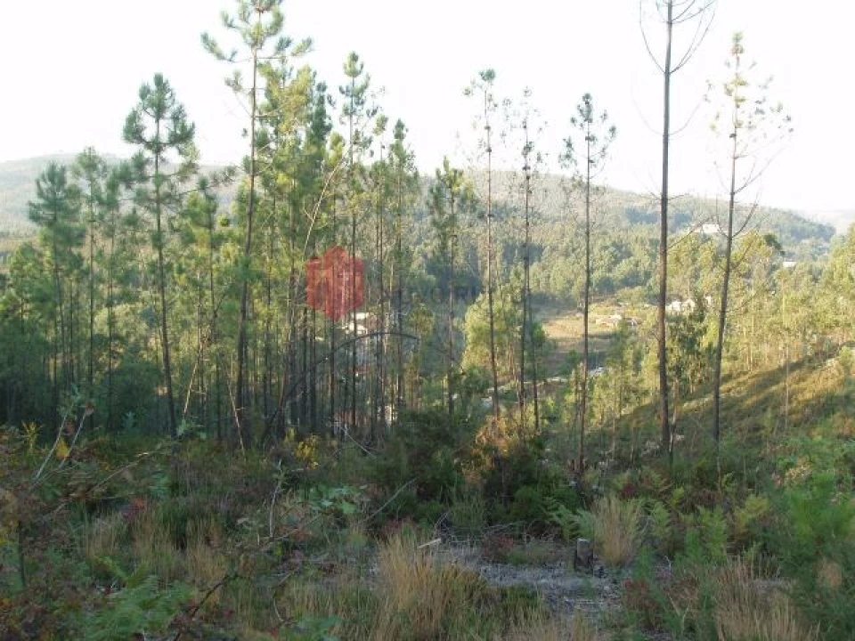 Terreno para Venda em Melres e Medas Foto 44