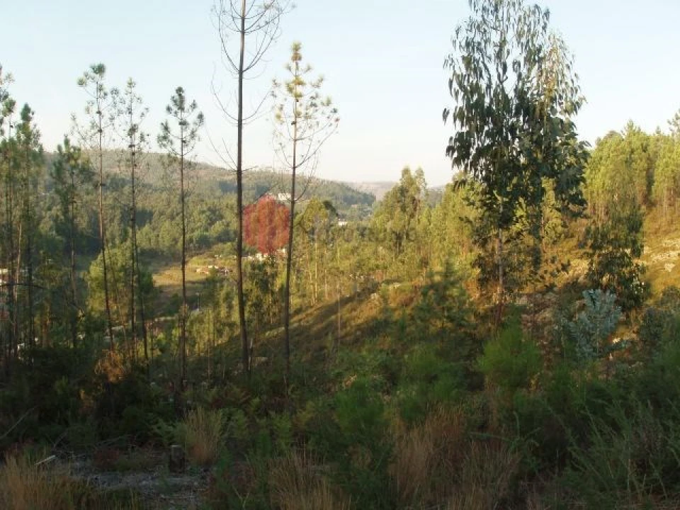Terreno para Venda em Melres e Medas Foto 45