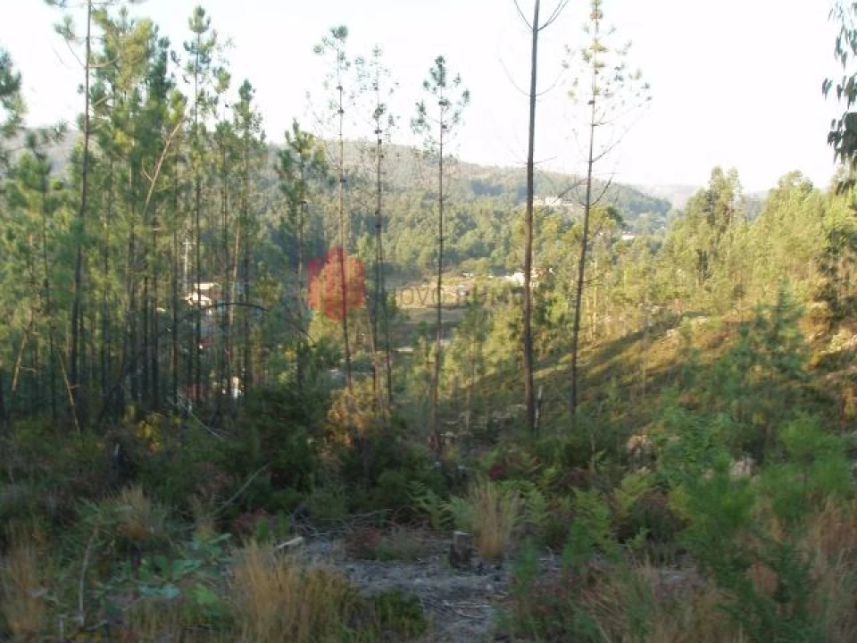 Terreno para Venda em Melres e Medas Foto 46