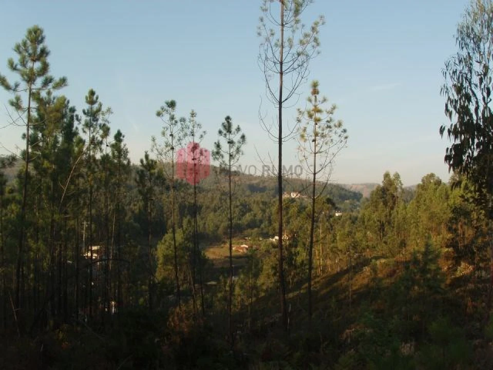 Terreno para Venda em Melres e Medas Foto 47