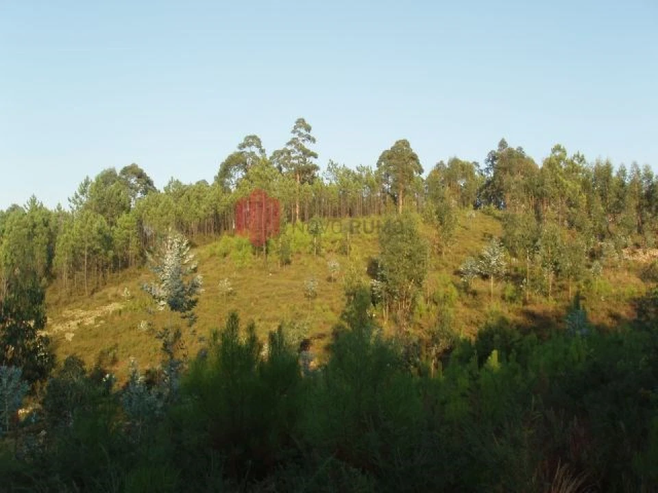 Terreno para Venda em Melres e Medas Foto 48