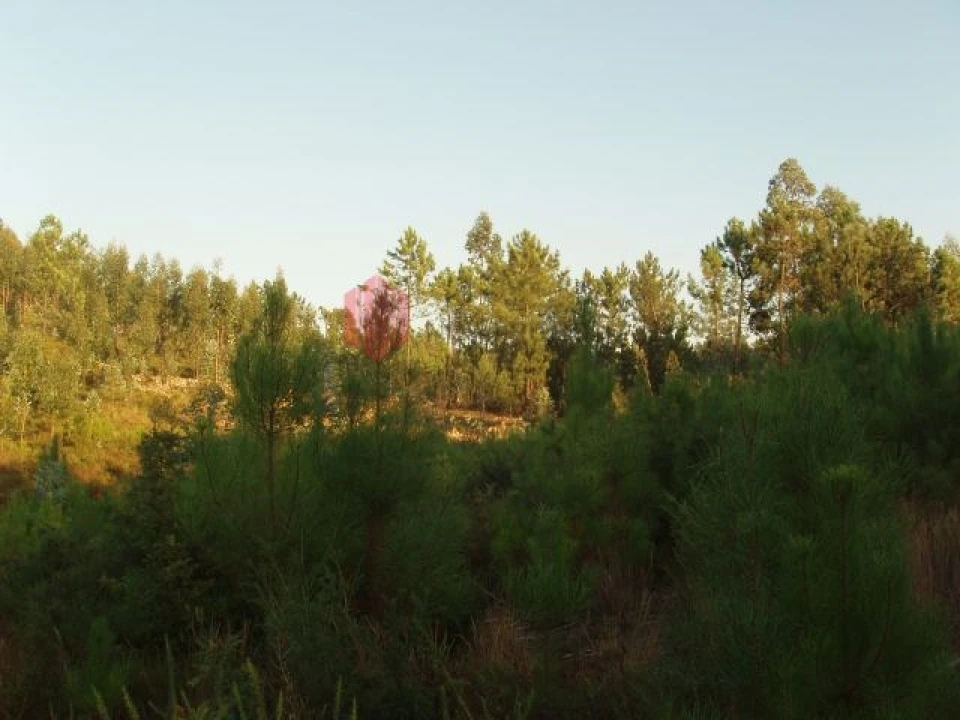 Terreno para Venda em Melres e Medas Foto 49
