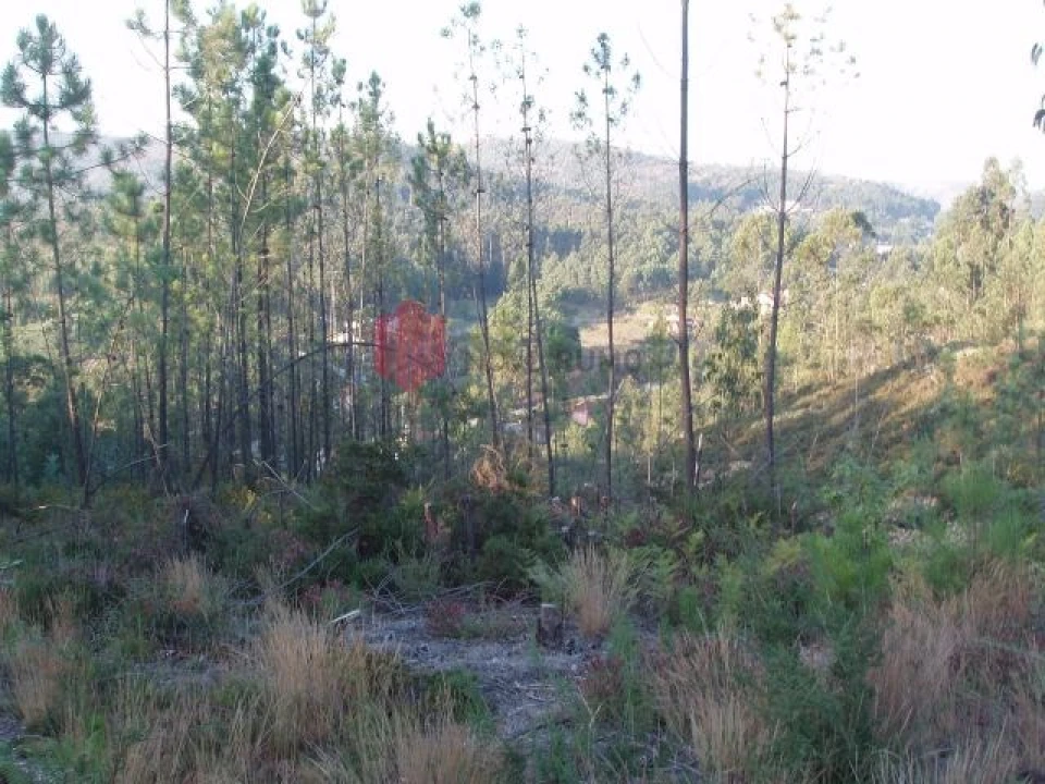 Terreno para Venda em Melres e Medas Foto 51