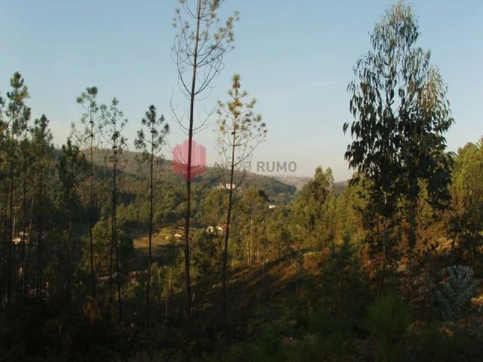 Terreno para Venda em Melres e Medas Foto 53